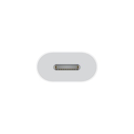 Apple USB-C to Lightning Adapter in white, close-up showing Lightning port connector detail