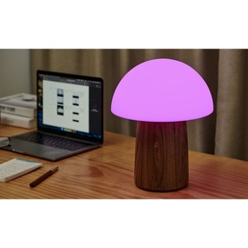 Alice Large Mushroom Lamp