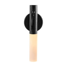 Smart Baton Light