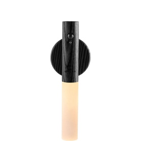 Smart Baton Light