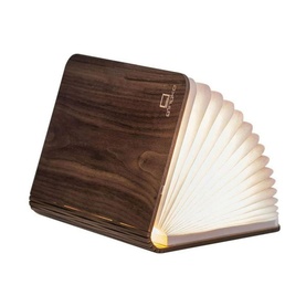 Mini Book Light