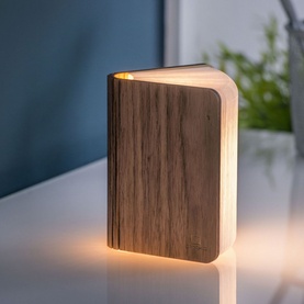 Mini Book Light