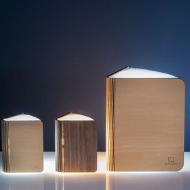 Mini Book Light
