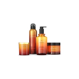 The Alchemy Collection Gift Set