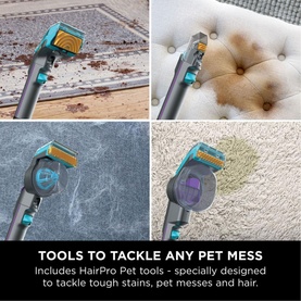 StainStriker HairPro Pet