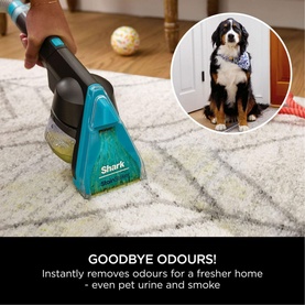 CarpetXpert Pet Pro