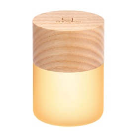 Lemelia Mini Light