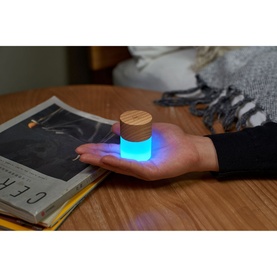 Lemelia Mini Light