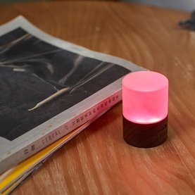 Lemelia Mini Light