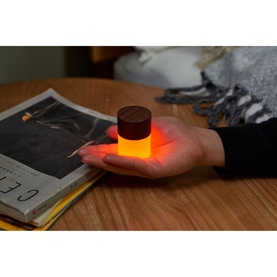 Lemelia Mini Light