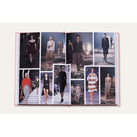 The Essence of Dior