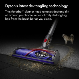 Dyson V8 Advanced Cordless Stick Vacuum Cleaner Motorbar cleaner head on floor, removing dust and dirt, with a dog visible in background.
