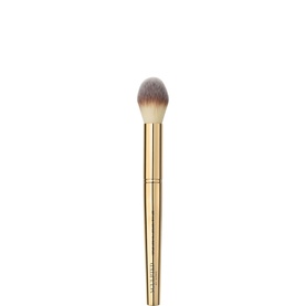 Set and Perfect Powder Brush 