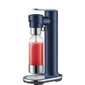 InFizz Carbonator Damson