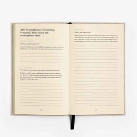 Three Question Journal