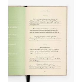 Three Question Journal