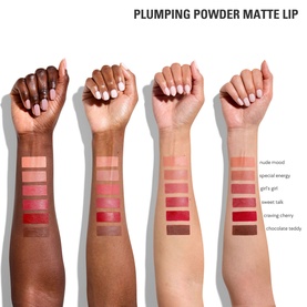 Plumping Powder Matte Lip Liquid Lipstick
