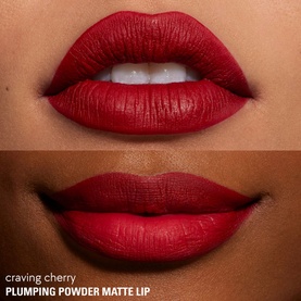 Plumping Powder Matte Lip Liquid Lipstick