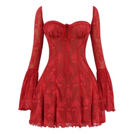 Analissa Lace Corset Mini Dress