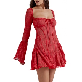 Analissa Lace Corset Mini Dress