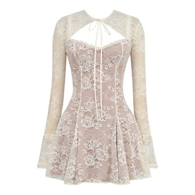Alice Lace Mini Dress