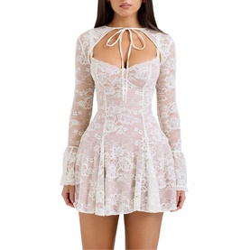 Alice Lace Mini Dress