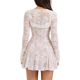 Alice Lace Mini Dress