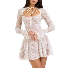 Alice Lace Mini Dress