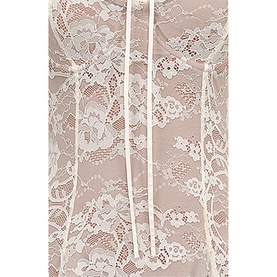 Alice Lace Mini Dress