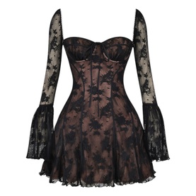 Analissa Lace Corset Mini Dress
