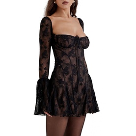 Analissa Lace Corset Mini Dress