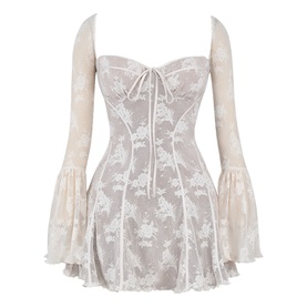 Analissa Lace Corset Mini Dress