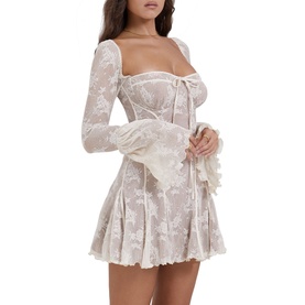Analissa Lace Corset Mini Dress