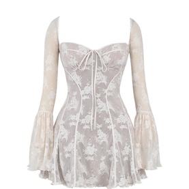 Analissa Lace Corset Mini Dress