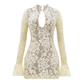 Brianna Keyhole Lace Mini Dress