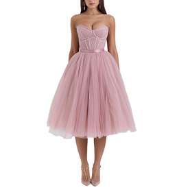 Darling Tulle Corset Dress