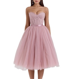 Darling Tulle Corset Dress