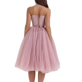 Darling Tulle Corset Dress