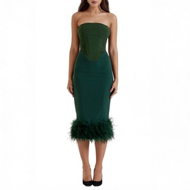 Fionula Strapless Corset Dress