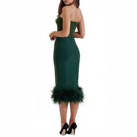 Fionula Strapless Corset Dress