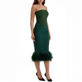 Fionula Strapless Corset Dress