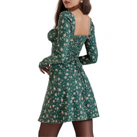 Malika Floral Corset Mini Dress