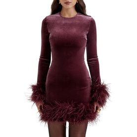 Lavinia Velvet Mini Dress