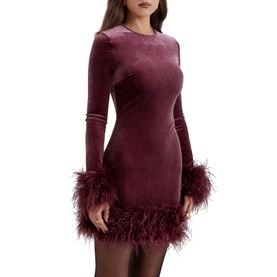 Lavinia Velvet Mini Dress