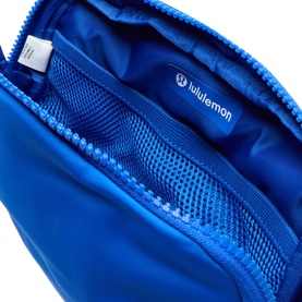 Everywhere Belt Bag