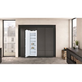 N50 Flat Hinge Freezer