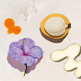 Sol De Janeiro Delicia Drench Shower Oil key ingredients flat lay: hibiscus flower, marula fruit, golden oil droplet, and creamy balm texture