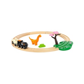 Dinosaur Circle Set