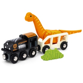 Dinosaur Circle Set
