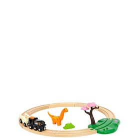Dinosaur Circle Set